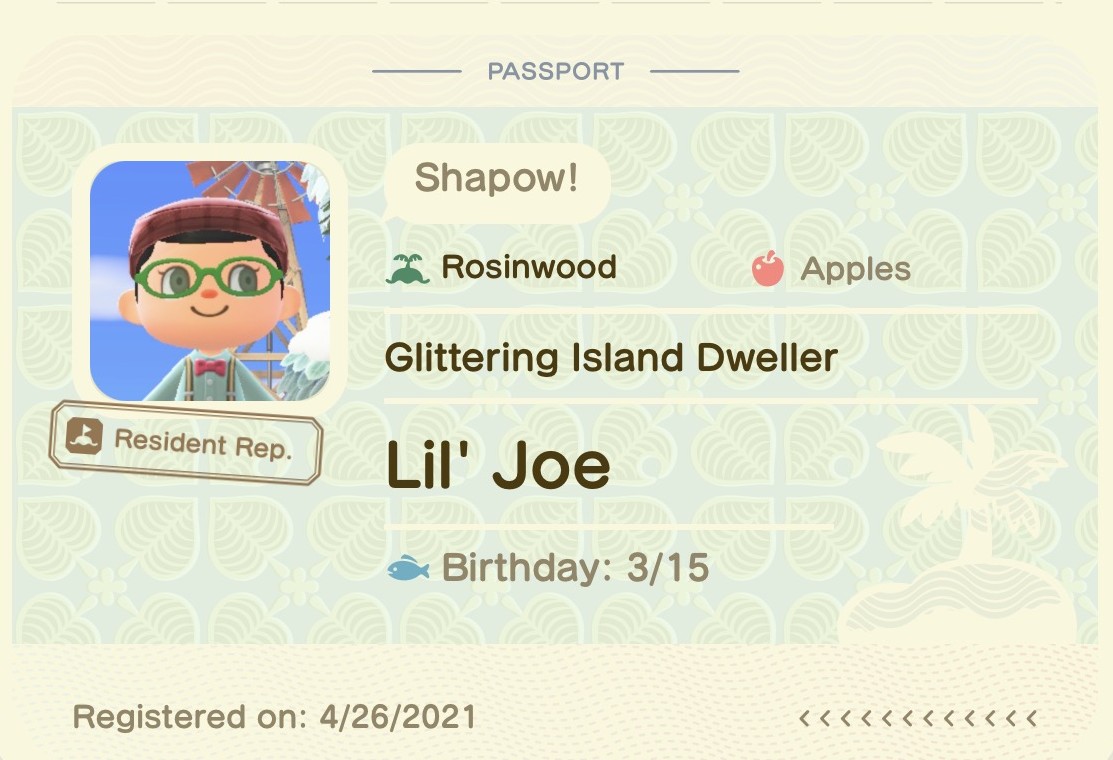 Coming back to Animal Crossing